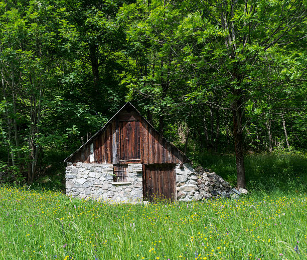 istock Little cottage in the Alps 497125108