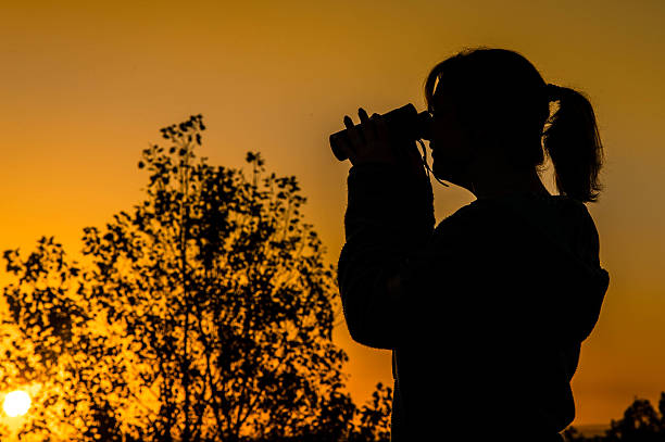 istock Young woman looking through binoculars in silhouette 497125424