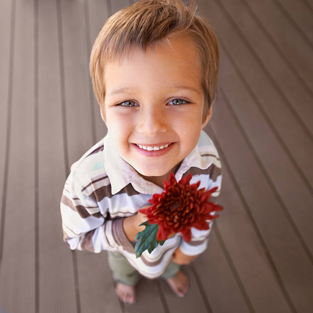 Shot of a cute little boy holding a red flowerhttp://195.154.178.81/DATA/i_collage/pi/shoots/783274.jpg