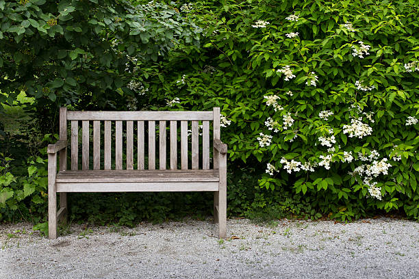 banco no parque - bench advertisement commercial sign outdoors - fotografias e filmes do acervo