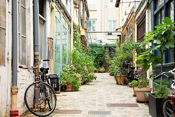 Parisian alley with potted plants and bicycles
