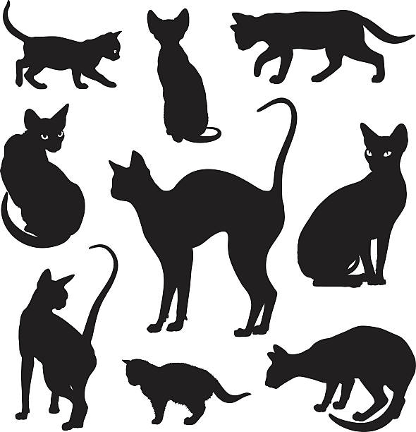 Cats silhouettes graphic vector set Cats silhouettes elegant graphic icon vector set tattoo bull clip art stock illustrations