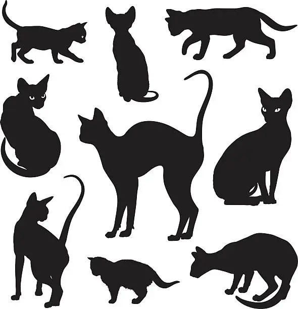 Vector illustration of Cats silhouettes graphic vector set