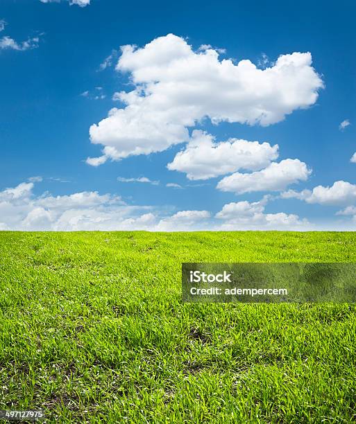Paisagem De Primavera - Fotografias de stock e mais imagens de Agricultura - Agricultura, Ajardinado, Ao Ar Livre