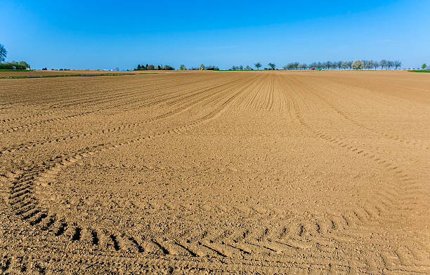 istock freshly ploughed acre with row of trees 497129171