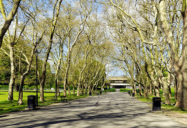 Crystal Palace Park and stadium entrance Crystal Palace Park, south east London, in springtime. The rear entrance to the sports stadium  is at the end of the avenue. borough of bromley stock pictures, royalty-free photos & images