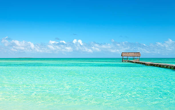 istock Tropical beach, turquoise water, wooden platform and bungalow, exotic summer 497129491
