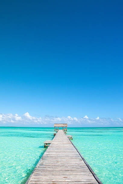 istock Tropical beach, turquoise water, wooden platform and private bungalow, vertical 497129501