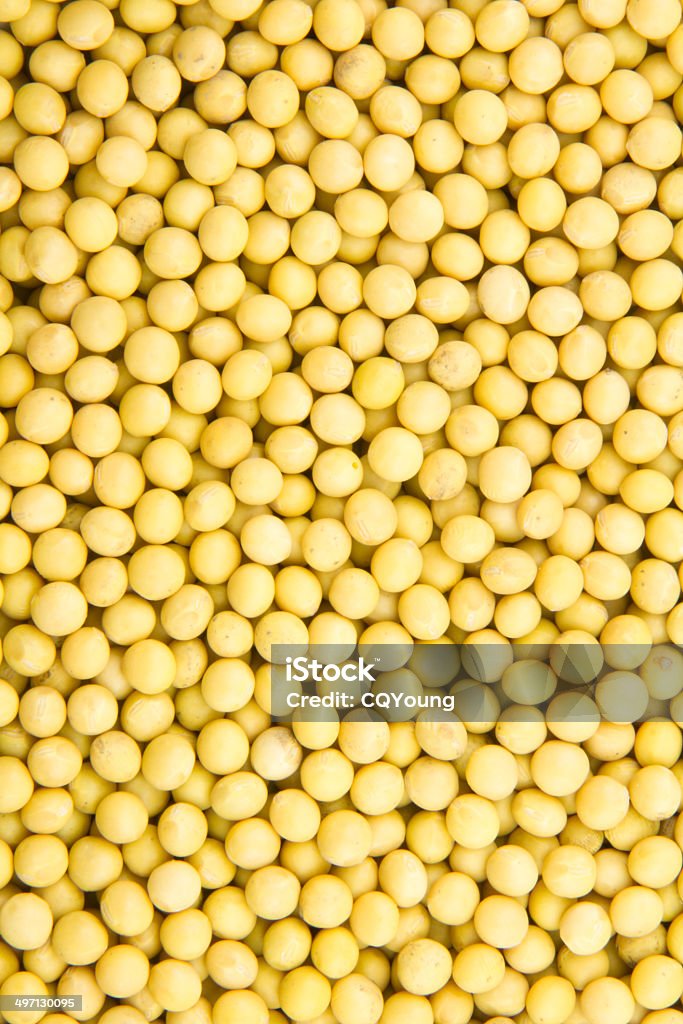 Haba de soja - Foto de stock de Alimento libre de derechos