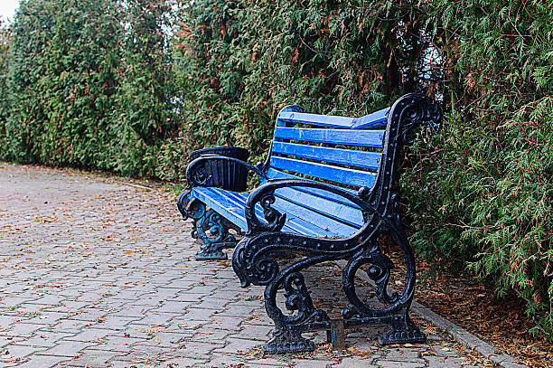 istock bench in the autumn park 497130970