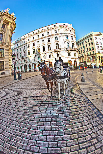 old coffeehaus Griensteidl in Vienna Vienna, Austria - November 27, 2010: Fiaker in front of famous cafe Griensteidl  in Vienna, Austria. The cafe opened first in 1847 by owner  Heinrich Griensteidl and is still a meeting place for artists. burgtheater vienna stock pictures, royalty-free photos & images