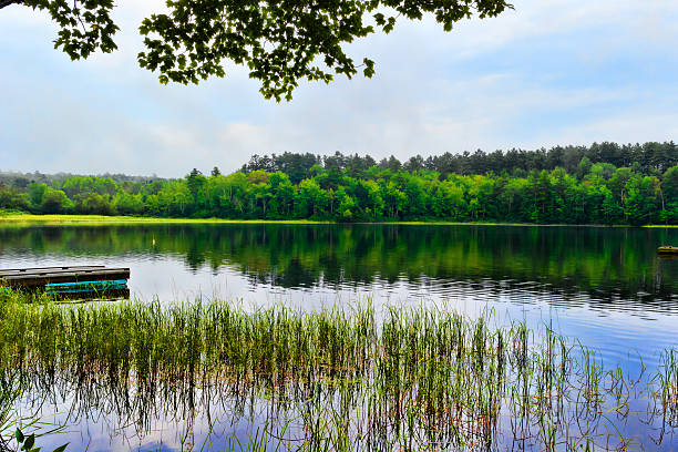 istock Pond scene in Maine Summertime 497132913