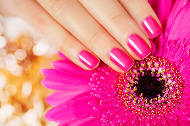 istock pink manicure with flower gerbera on a gold background. 497141383