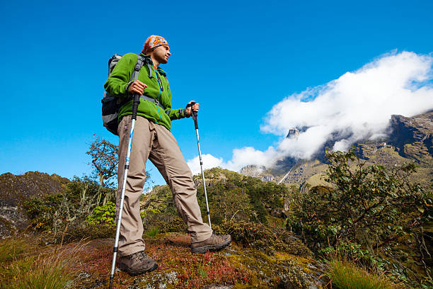 istock Hiker on the trek in Himalayas, Khumbu valley, Nepal 497142312