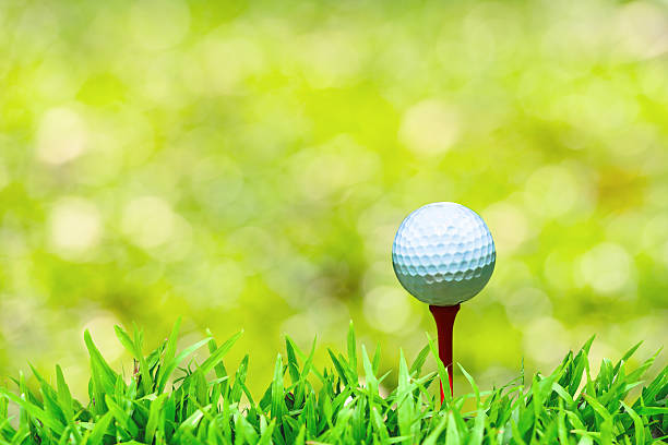 istock Golf ball on field in sunny day with bokeh background. 497142425