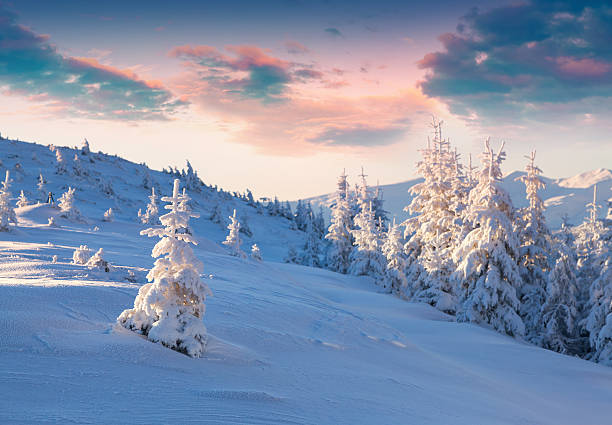 istock Colorful winter sunrise in the mountains. 497143876