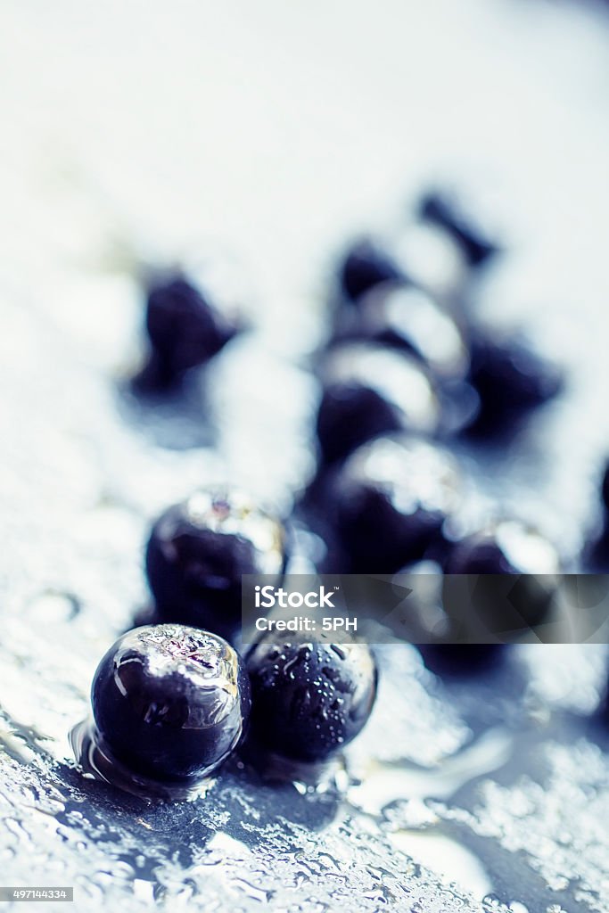 Chokeberry, borówki czarnej na mokro kamień tło - Zbiór zdjęć royalty-free (2015)