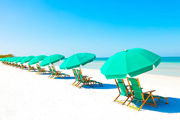 Lounge Chairs and Umbrella at the Beach Green beach loungers and umbrellas at white sandy beach gulf coast states photos stock pictures, royalty-free photos & images