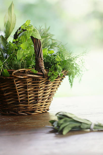 istock Fresh herbs in a basket at the garden 497144951