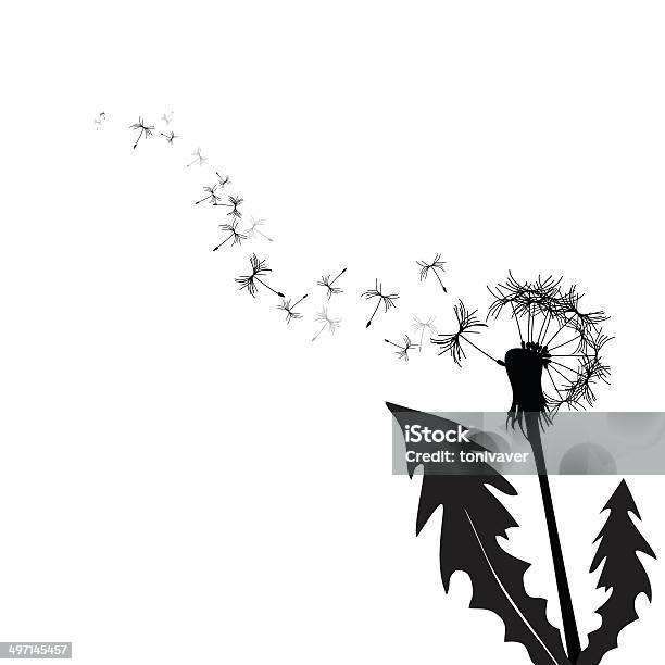 Vector Dandelion Stock Illustration - Download Image Now - Biology, Blossom, Botany