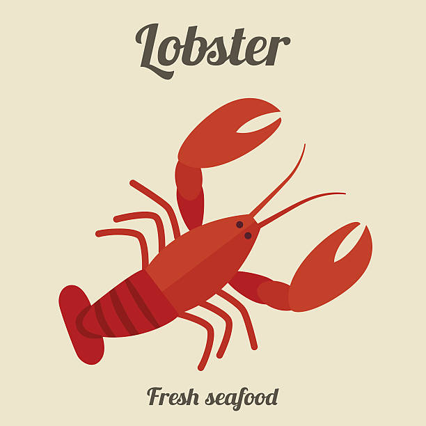 랍스터 평편 일러스트레이션. - lobster seafood prepared shellfish crustacean stock illustrations