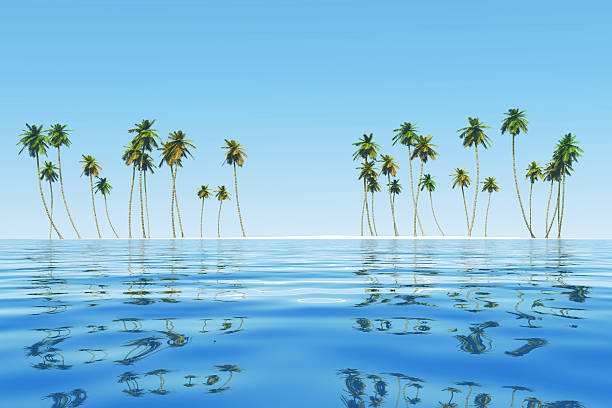 istock coconut island at tropic sea 497146499