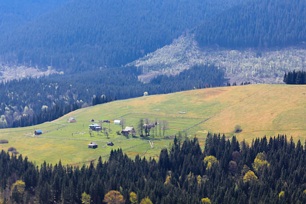 Scenic mountain landscape shot near Hoverla. Carpathian, Ukraine stock photo