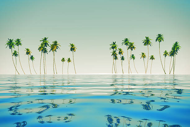 istock coconut island at tropic sea 497146741
