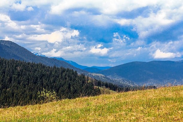 Scenic mountain landscape shot near Hoverla. Carpathian, Ukraine stock photo