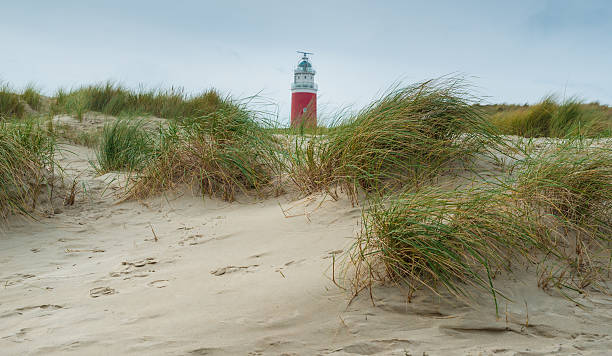 istock Dutch red lighthouse, at Texel  The Netherlands 497147040