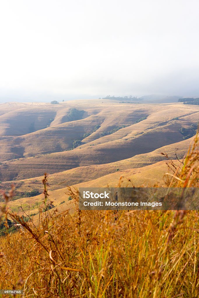 Underberg de KwaZulu-Natal, Sudáfrica - Foto de stock de Aire libre libre de derechos