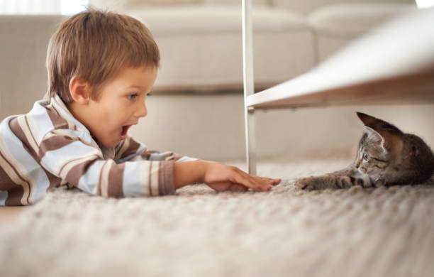 Pet Exercise Ideas