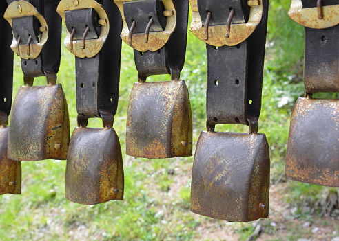 cow bells in nature background