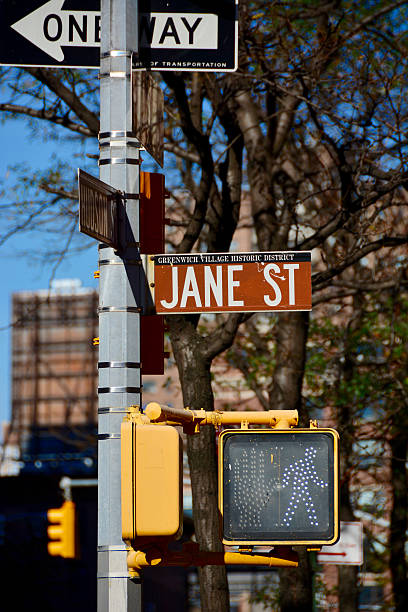 istock Jane street sign 497149248