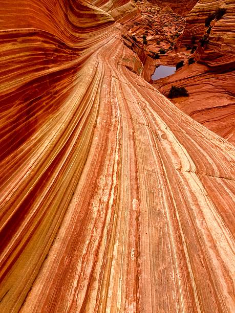 formacji piaskowca w wave - natural landmark outdoors vertical saturated color zdjęcia i obrazy z banku zdjęć