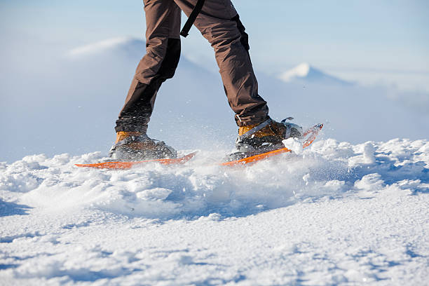 istock Snowshoeing in Carpathian mountains in wintertime 497150556