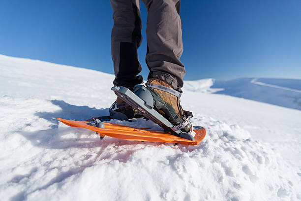 istock Snowshoeing in Carpathian mountains in wintertime 497150650
