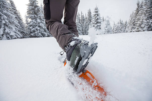 schneeschuhwanderungen in carpathian gebirge im winter - snowshoeing snowshoe women shoe stock-fotos und bilder