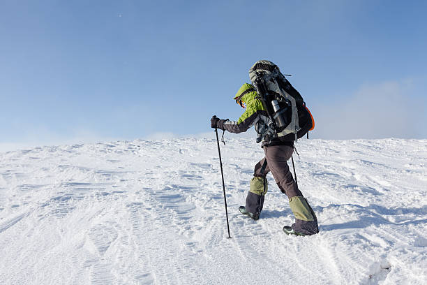 istock Hiker walking in winter Carpathian mountains 497151292