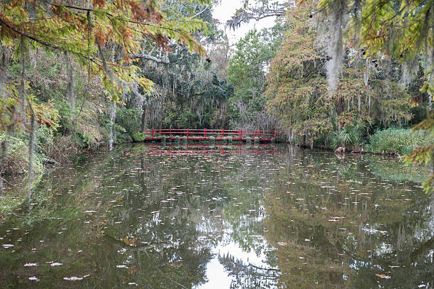 istock Red walking bridge over river in swamp 497152270