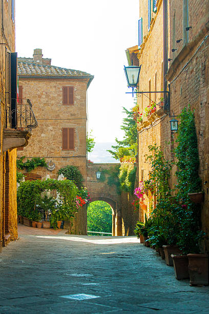 istock Narrow street in Pienza (Tuscany, Italy) 497152324
