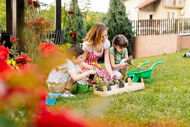 istock Happy Family Gardening in a Backyard Together. 497155193