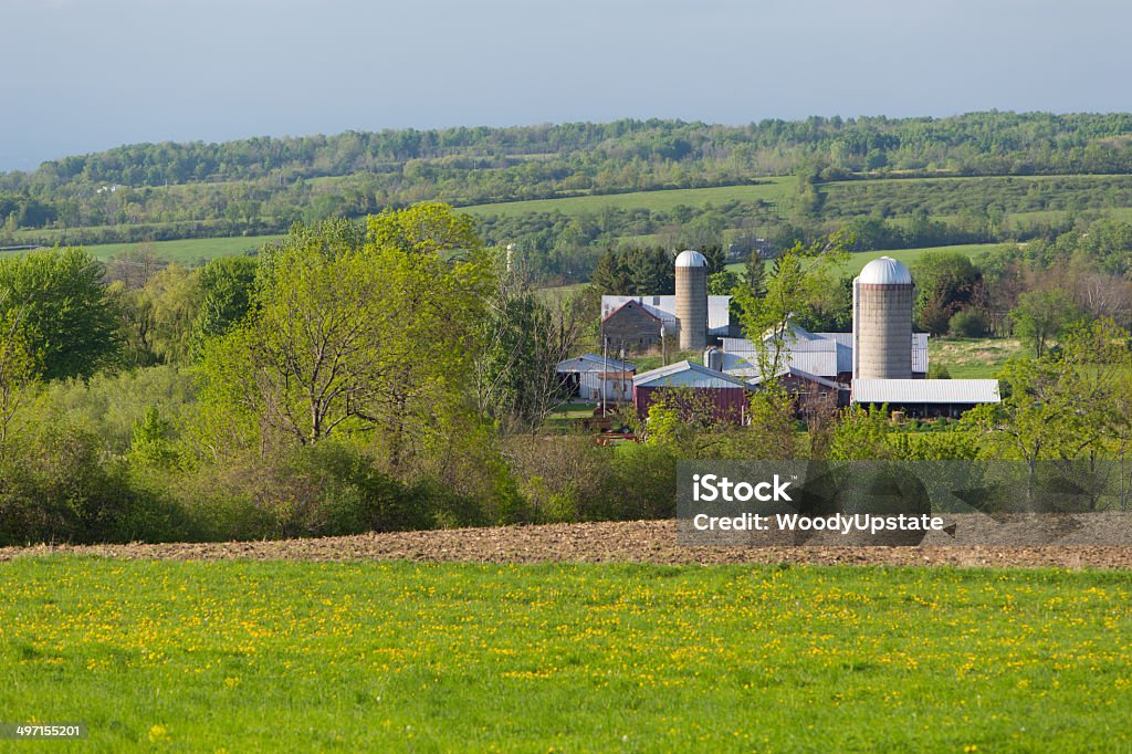 Printemps paysage de la ferme - Photo de Agriculture libre de droits