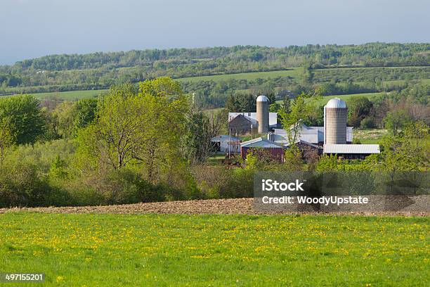 Photo libre de droit de Printemps Paysage De La Ferme banque d'images et plus d'images libres de droit de Agriculture - Agriculture, Arbre, Architecture