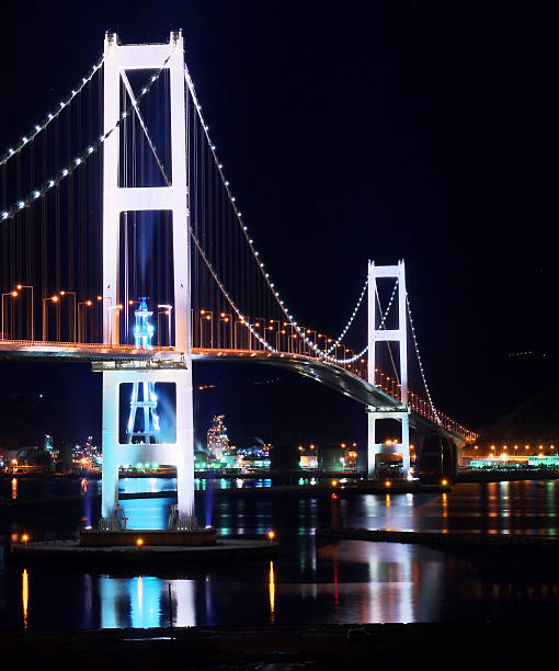 istock Swan big bridge in a superb view 497156046