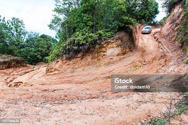 Rain Forest With A Dirt Road Stock Photo - Download Image Now - Adventure, Adversity, Asia
