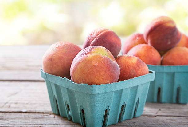 Peaches Peaches in rural scene.  Please see my portfolio for other food and drink images.  georgia country stock pictures, royalty-free photos & images