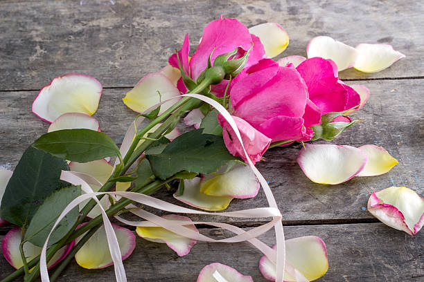 istock Rose and Rose petals lying down on a wooden table 497161125