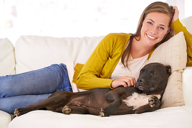istock Dogs are a joy to own 497161293
