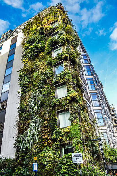 jardin vertical du mur de apartment building - vertical garden photos et images de collection